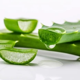 Những cách đẩy lùi nám từ nguyên liệu tự nhiên